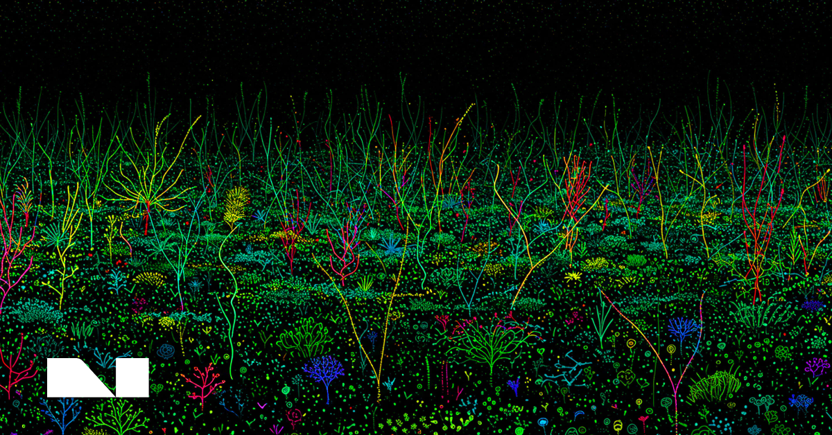 Exploring Data Science in Graphs and Graph Neural Networks (GNNs)